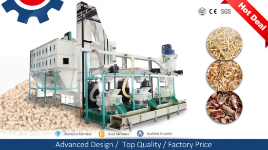 Multi-Purpose Mechanical Fully Automatic Stainless Steel Coal Pellet Extruder